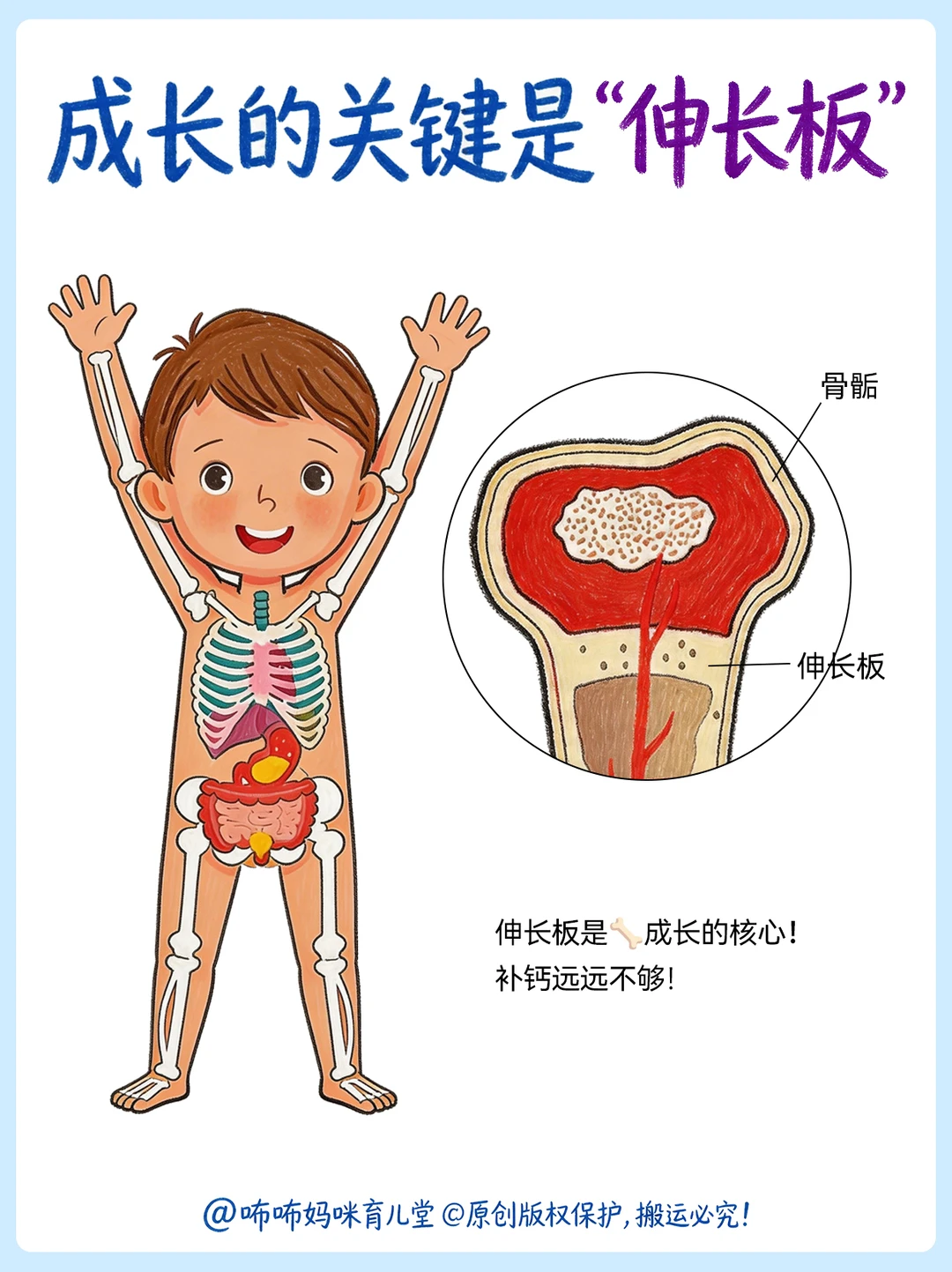 拒绝无效乱补❗读懂孩子成长逻辑科学补钙