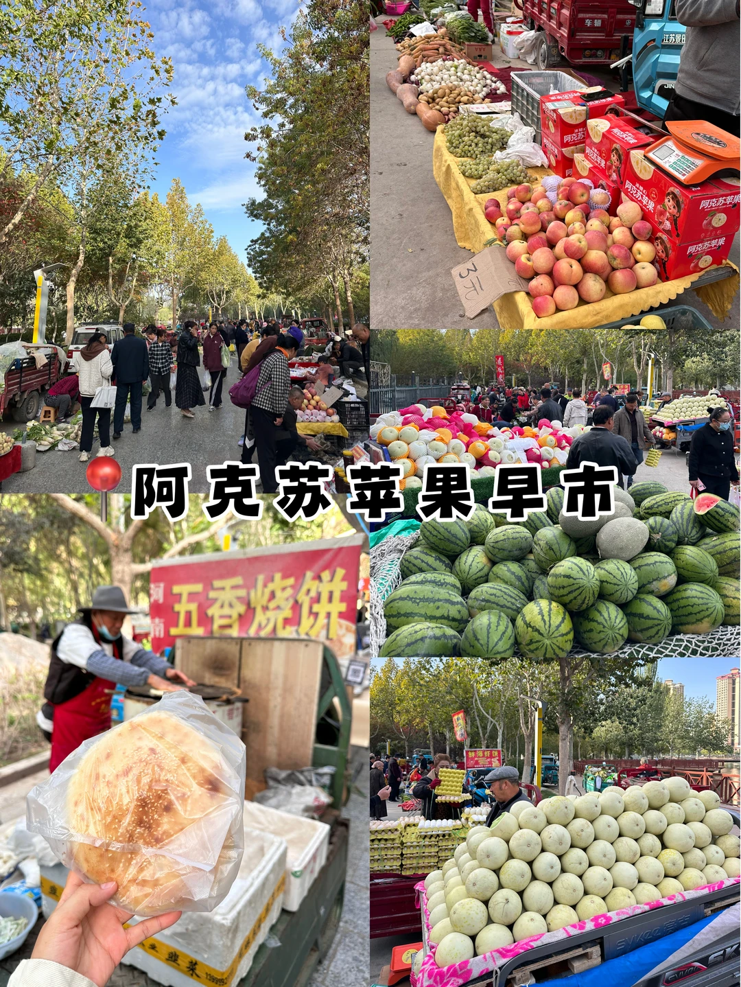 到步直奔阿克苏苹果早市！太好逛了