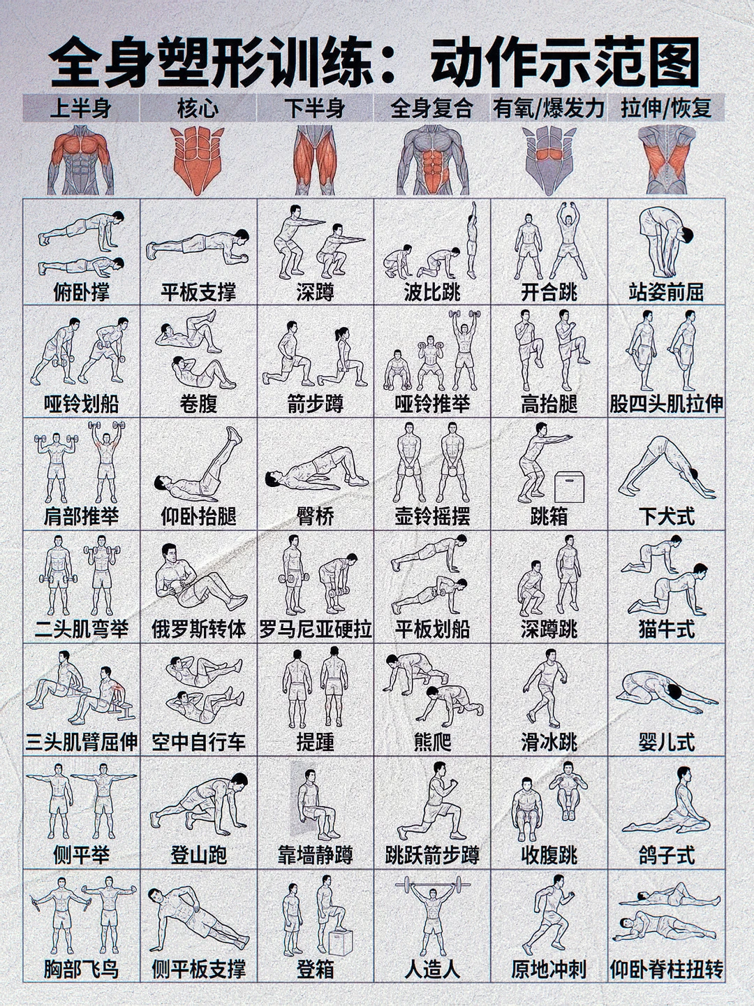 全身塑形训练、动作示范图