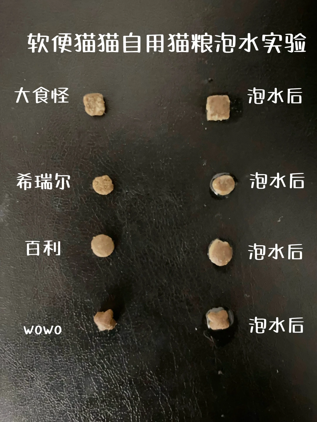 软便猫猫自用猫粮测评，真实拍！