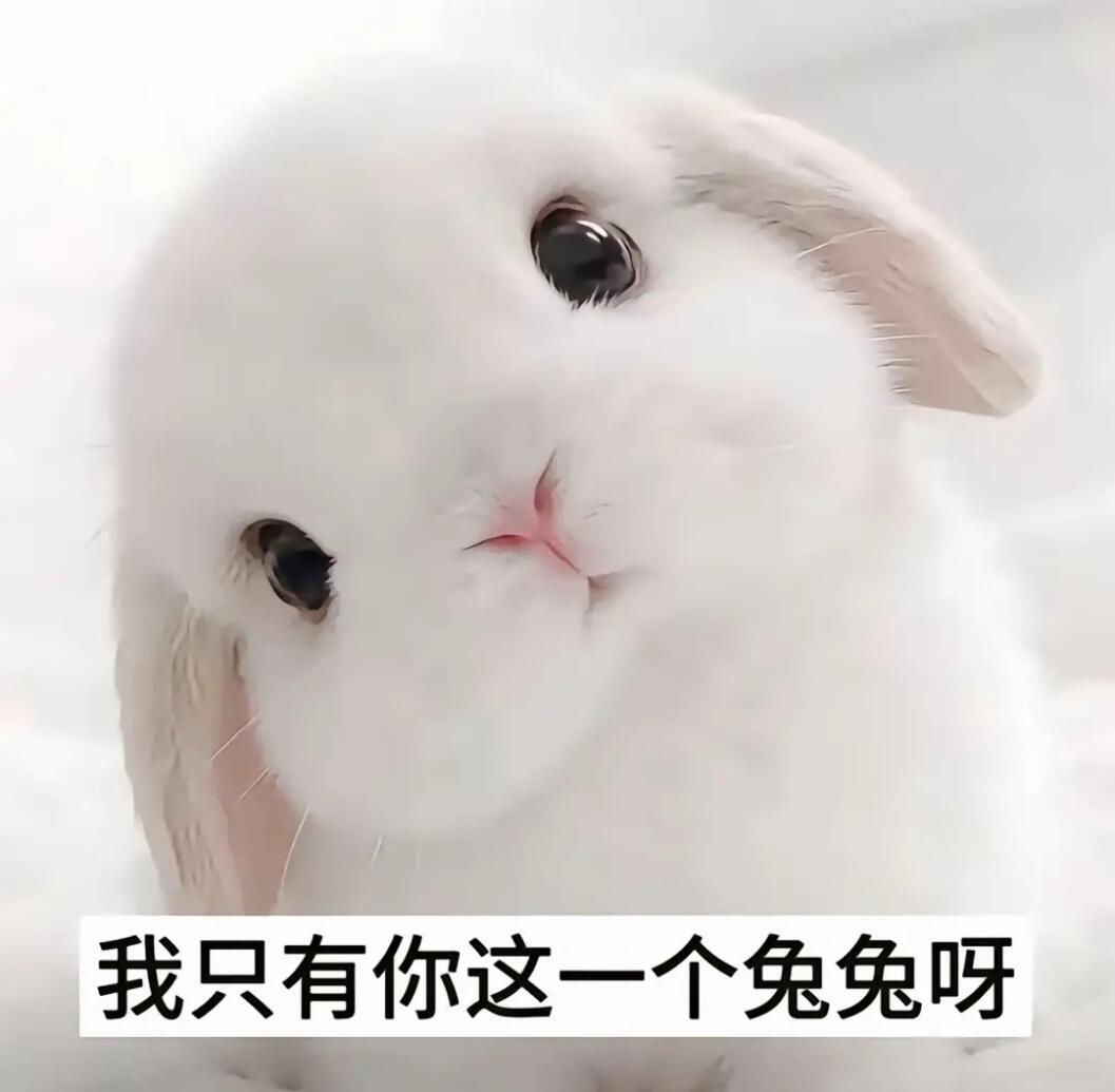 宝宝上周去看演唱会有没有拍点啥，给我们寄点明信片好不，一直在别人的vlog里捡宝宝，想你​