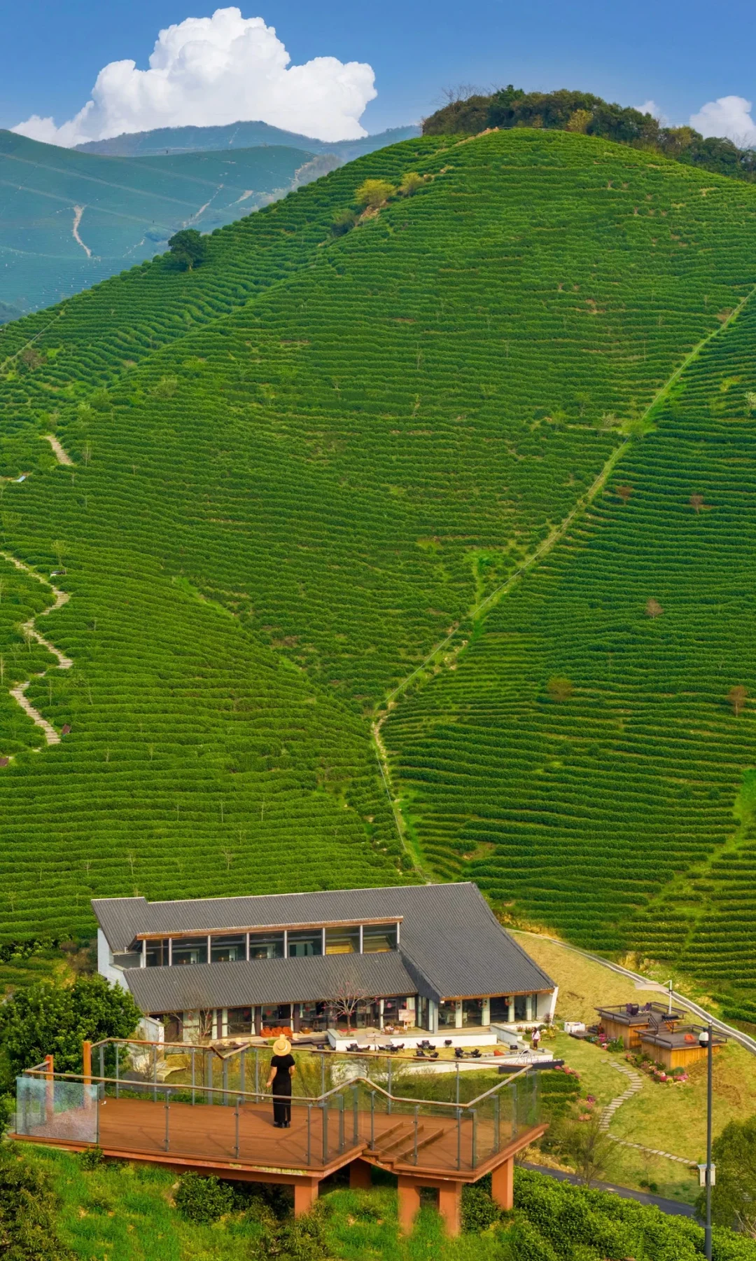 湖州|一抹春妆入茶乡，不负韶华这一场🍃