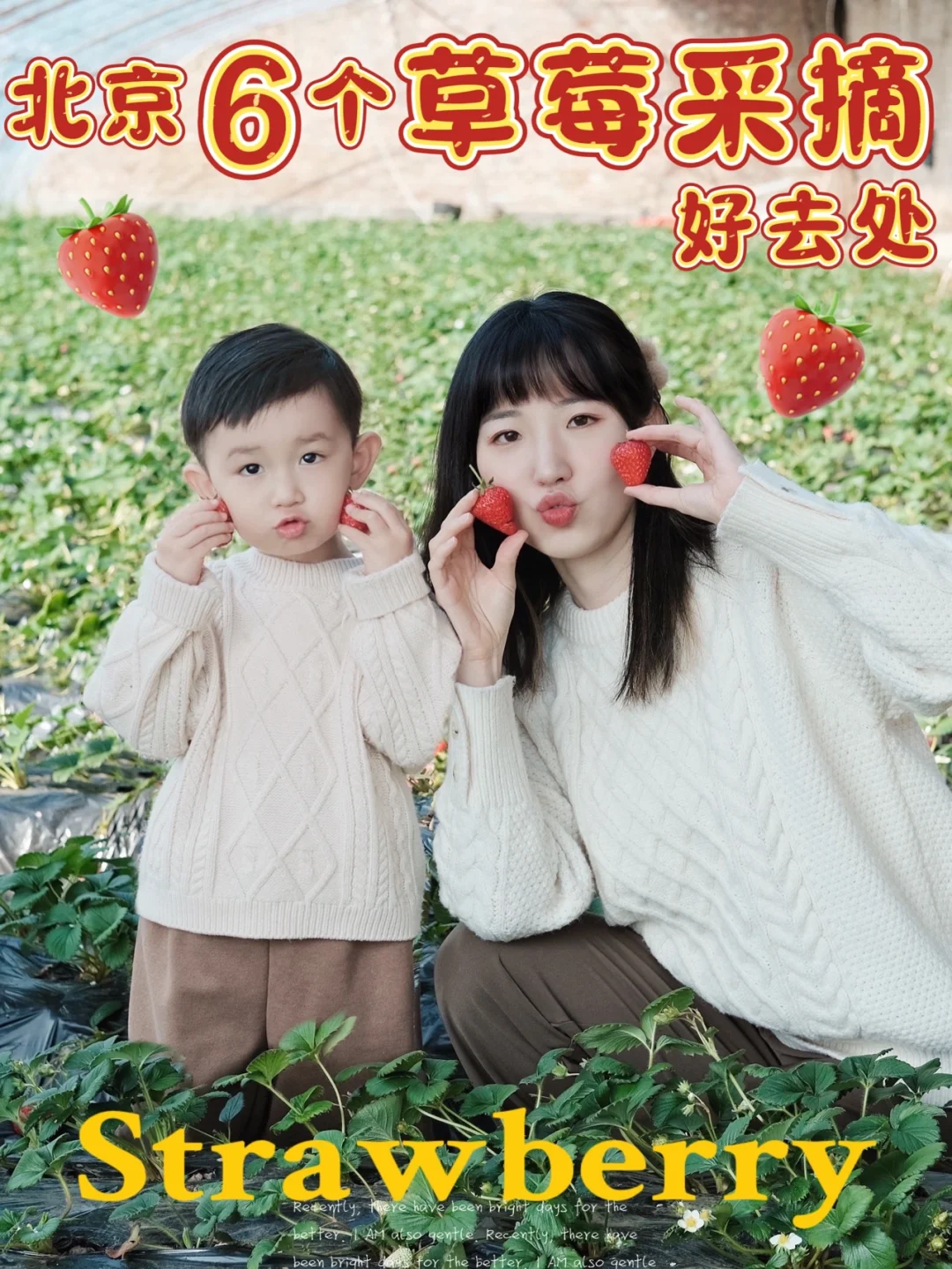 北京遛娃|6️⃣家超人气草莓园🍓一起来采摘
