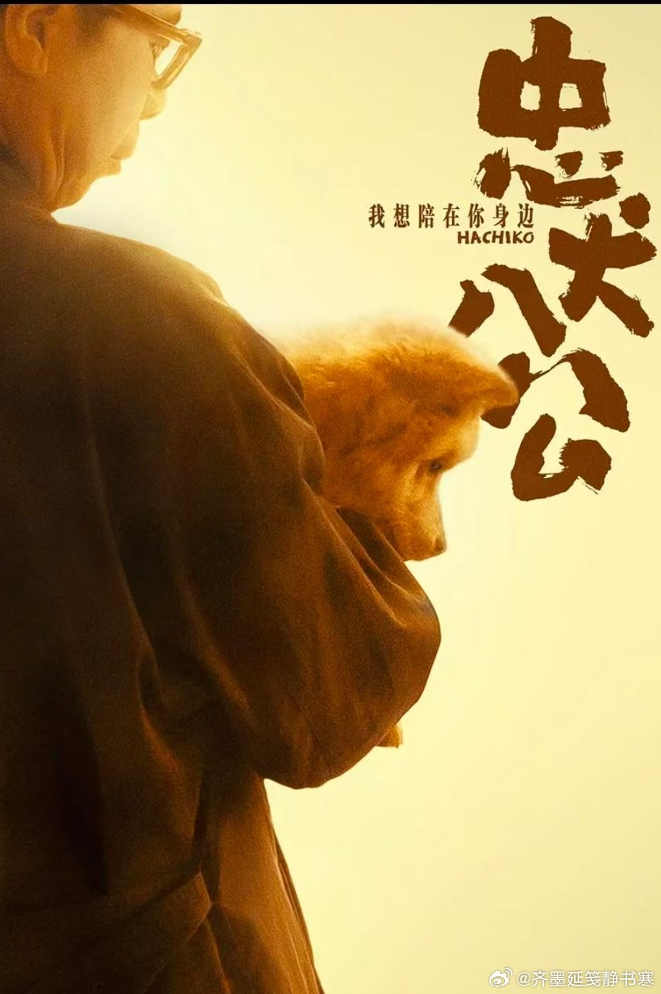 *最温柔的羁绊，最怕的别离
       昨日晚饭后闲来无事，翻遍电视剧集也觉得索然无味，百般无聊地调台时，无意间刷到了冯小刚的《忠犬八公》。影片已经播到八筒被领养人胖小伙带到狗肉店面临即将被吃的片段，虽不是从头看起，却依旧瞬间被这份沉甸甸的温情裹挟。
       其实这部电影我早前看过一遍， ​
