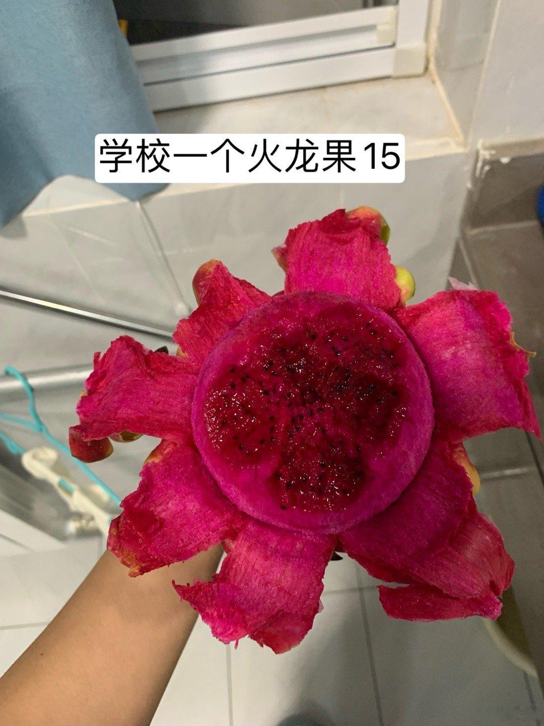 完全吃不饱又不敢多吃的一个状态😅
我们虽然连放13天 但是我们每周末都要补课 连着一个月 我崩溃了 现在只盼国庆 ​