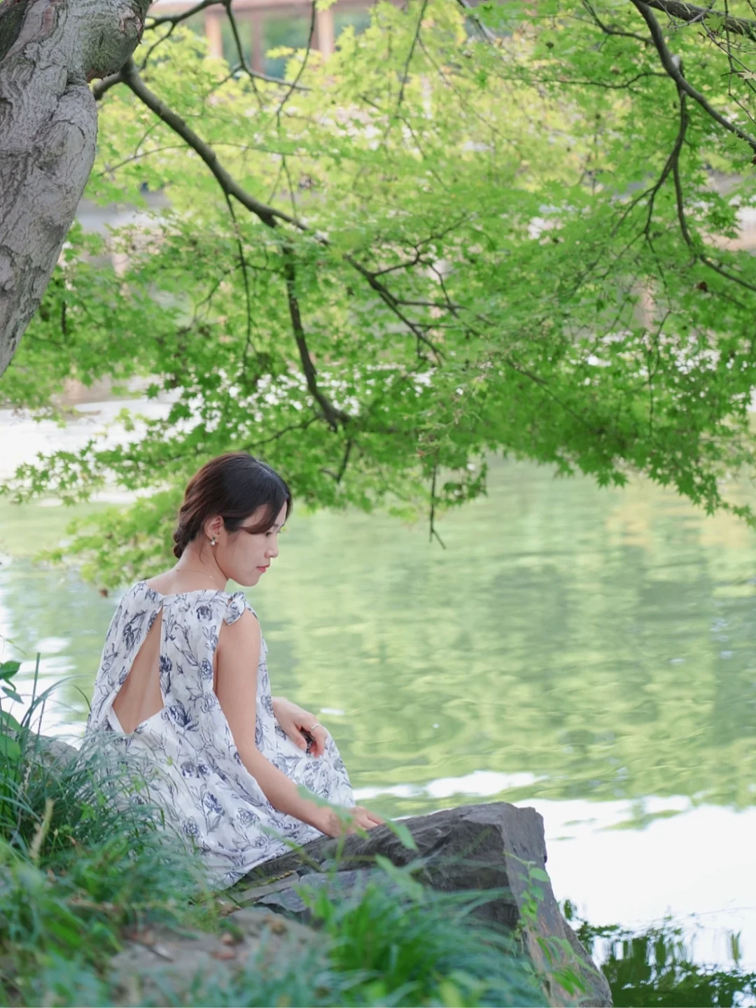 不夸张地说❗️是西湖边最适合发呆的免费园林