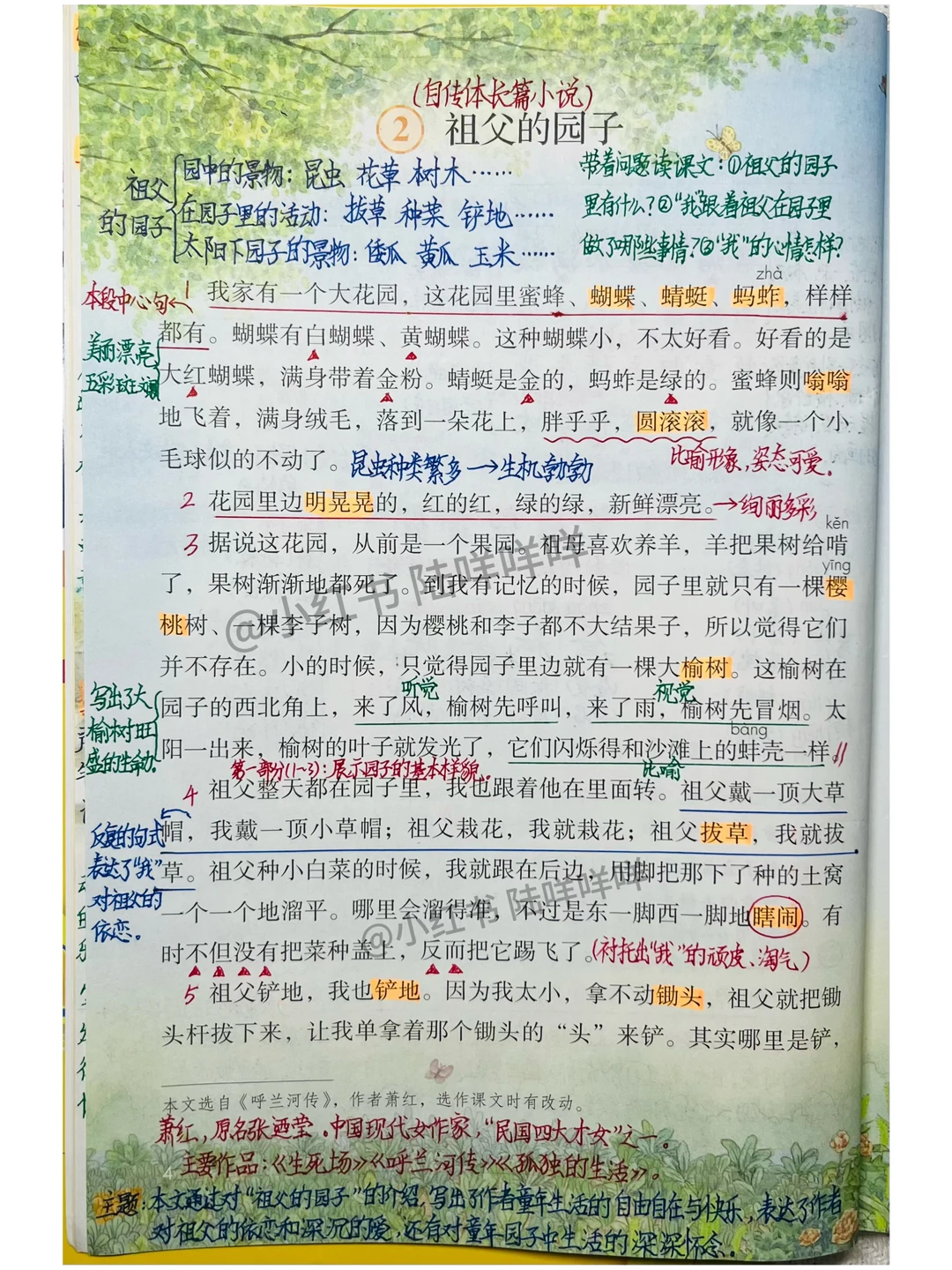 五下语文第2课《祖父的园子》课堂笔记