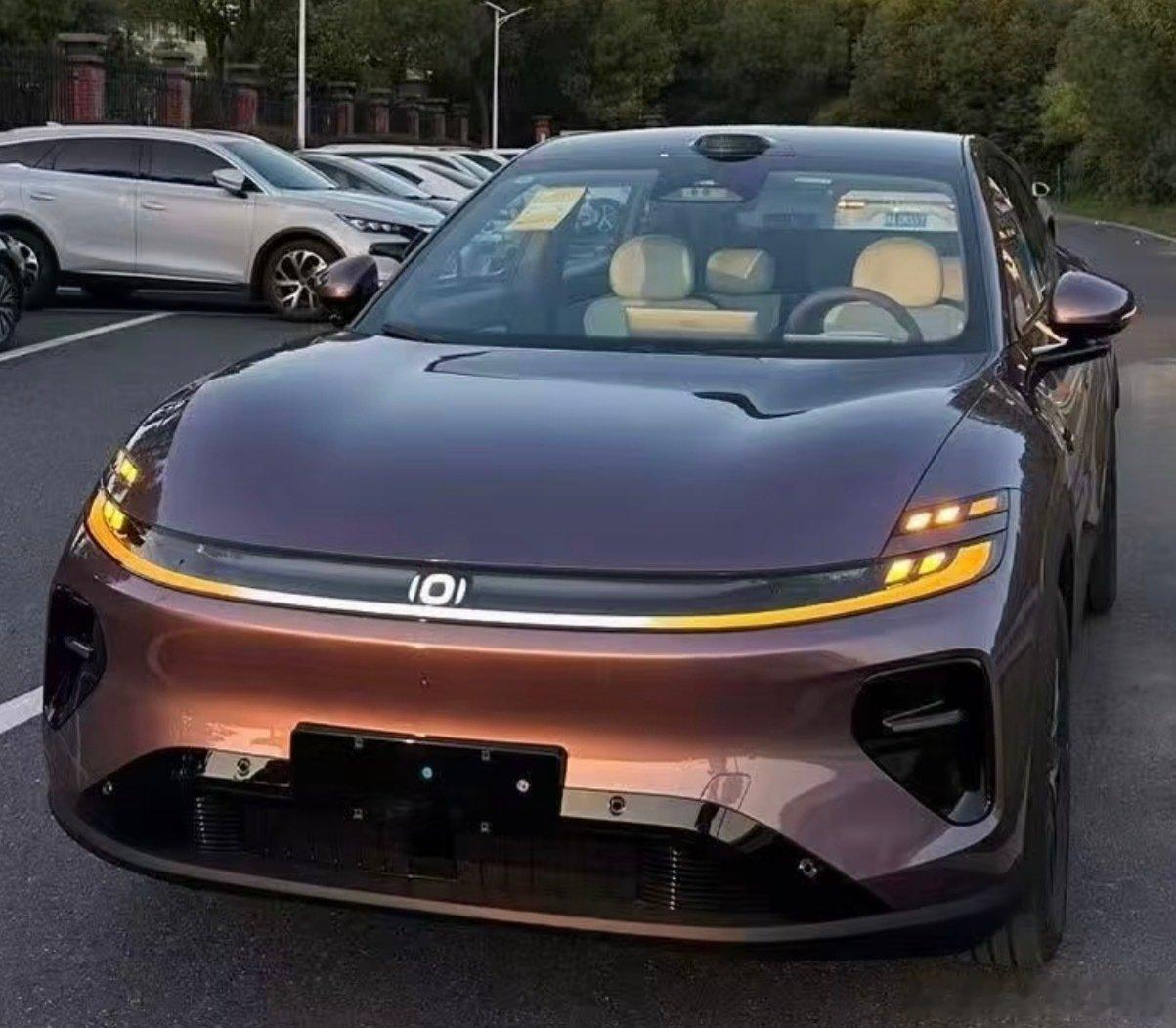夕阳下紫色启源Q06还是有韵味呢#长安汽车 ​