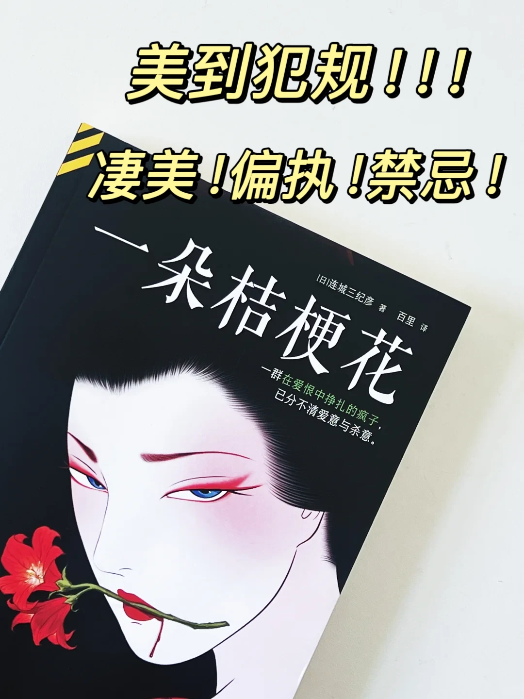 日本推理小说巅峰之作！美得让人心碎！