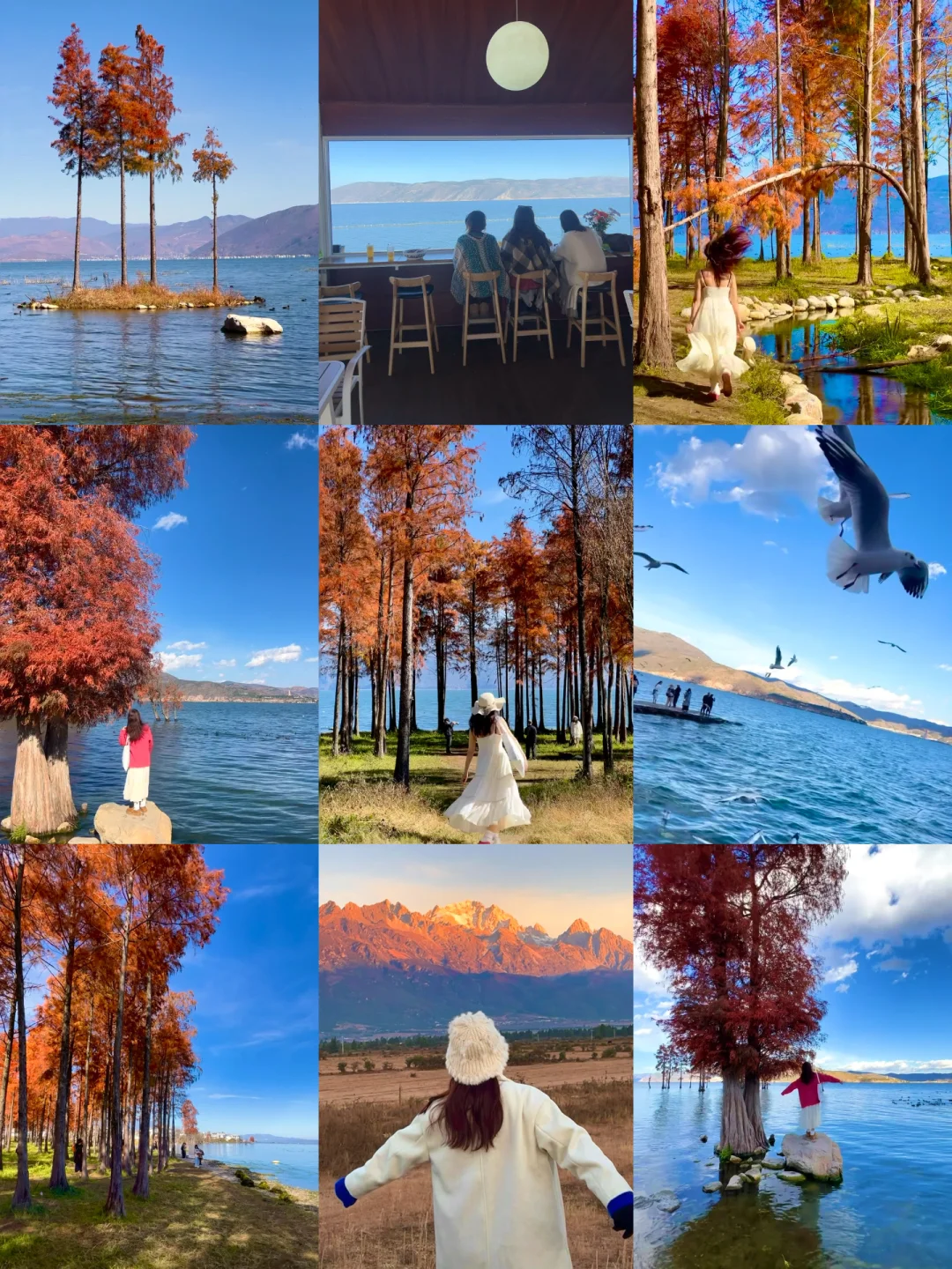 离开大理后。。我念念不忘的。。。。