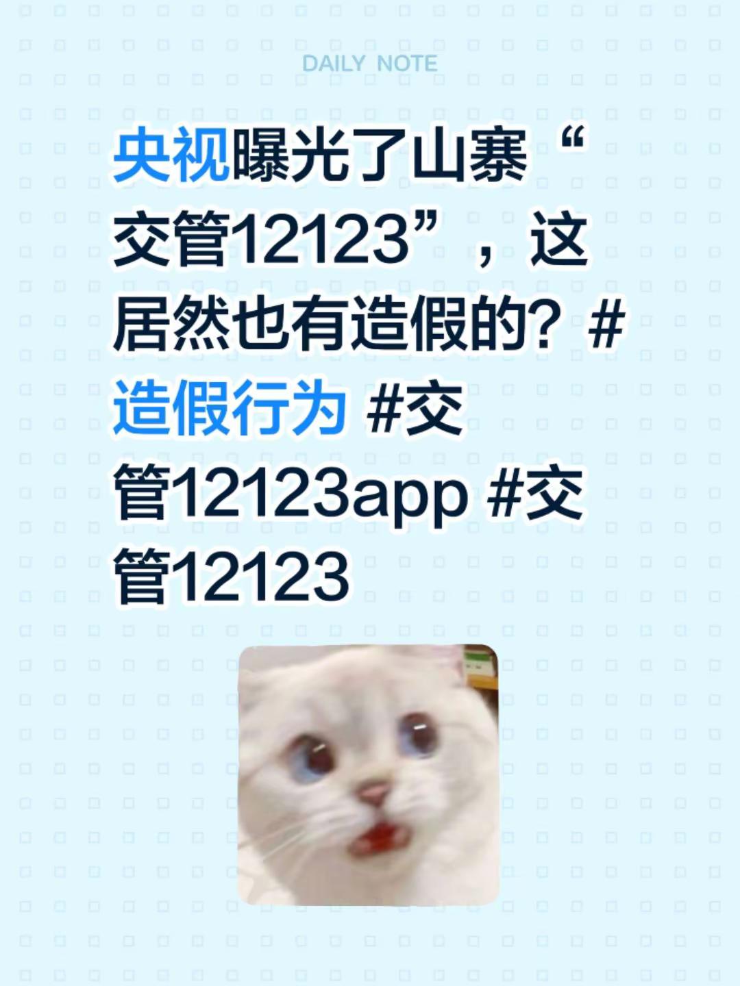 央视曝光了山寨“交管12123”，这居然也有造假的？造假行为 app 交管12123
