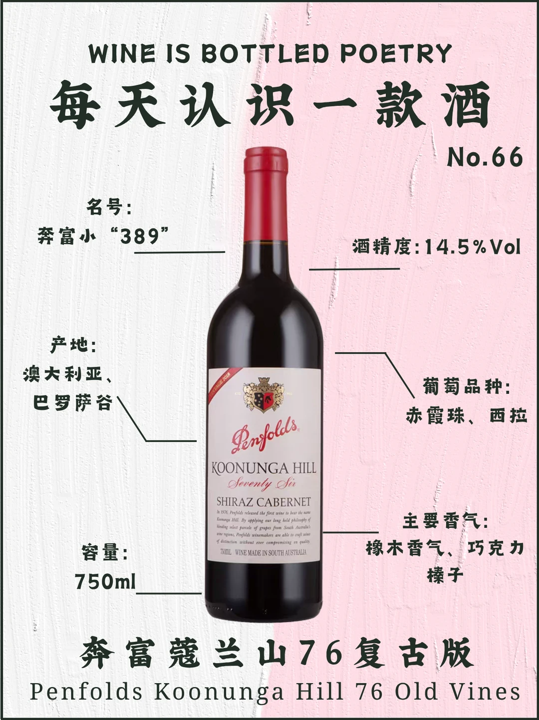 No.66每天认识一款酒｜奔富蔻兰山76复古版