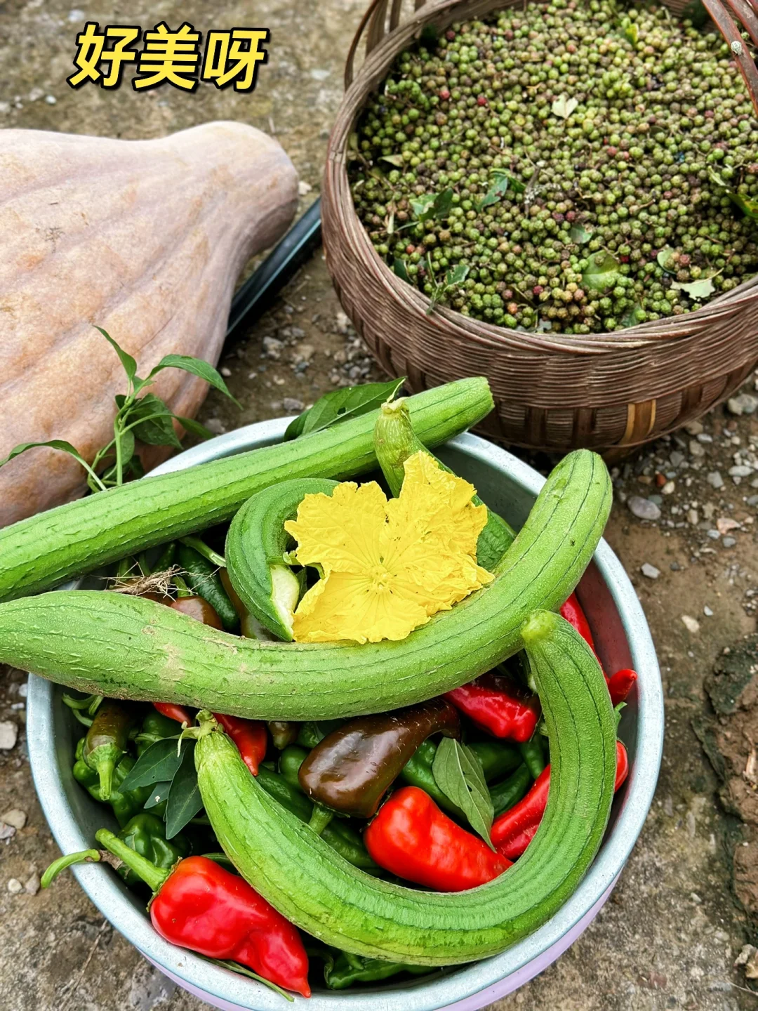 农村的夏天吃不完的各种蔬菜主打一个健康