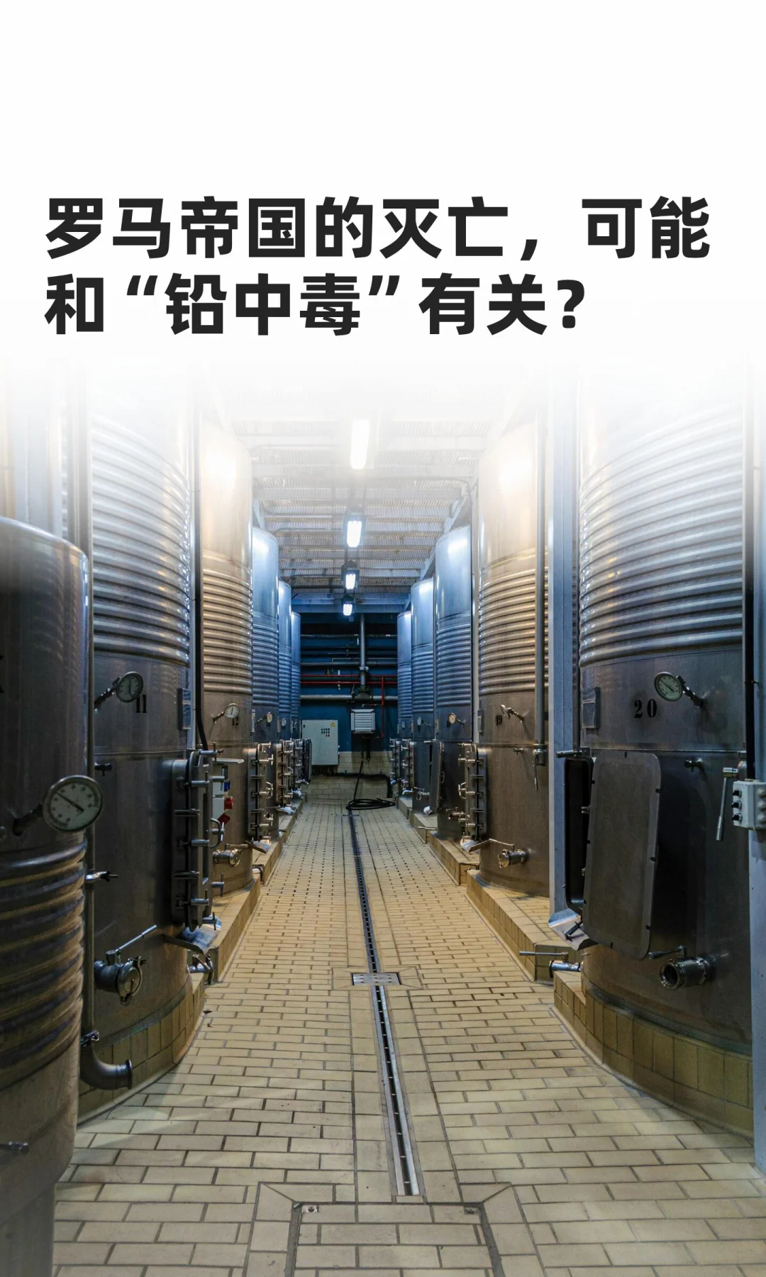 ​​罗马帝国的灭亡，可能和“铅中毒”有关