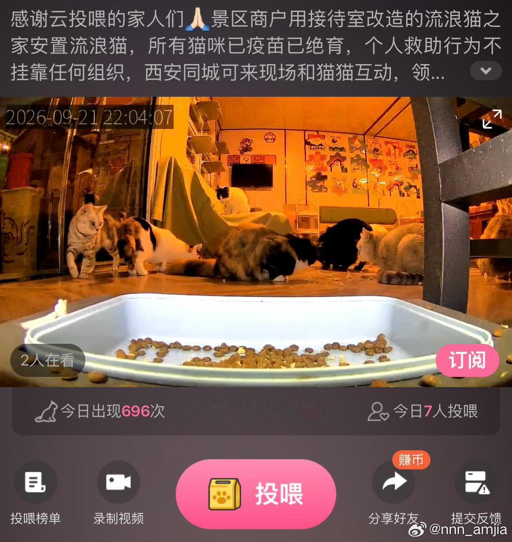 #流浪狗[超话]##毛孩子[超话]##流浪猫[超话]##流浪动物想回家##呼吁动物保护法##关爱流浪猫##关爱流浪动物##人人公益节##为动物发声[超话]# ​