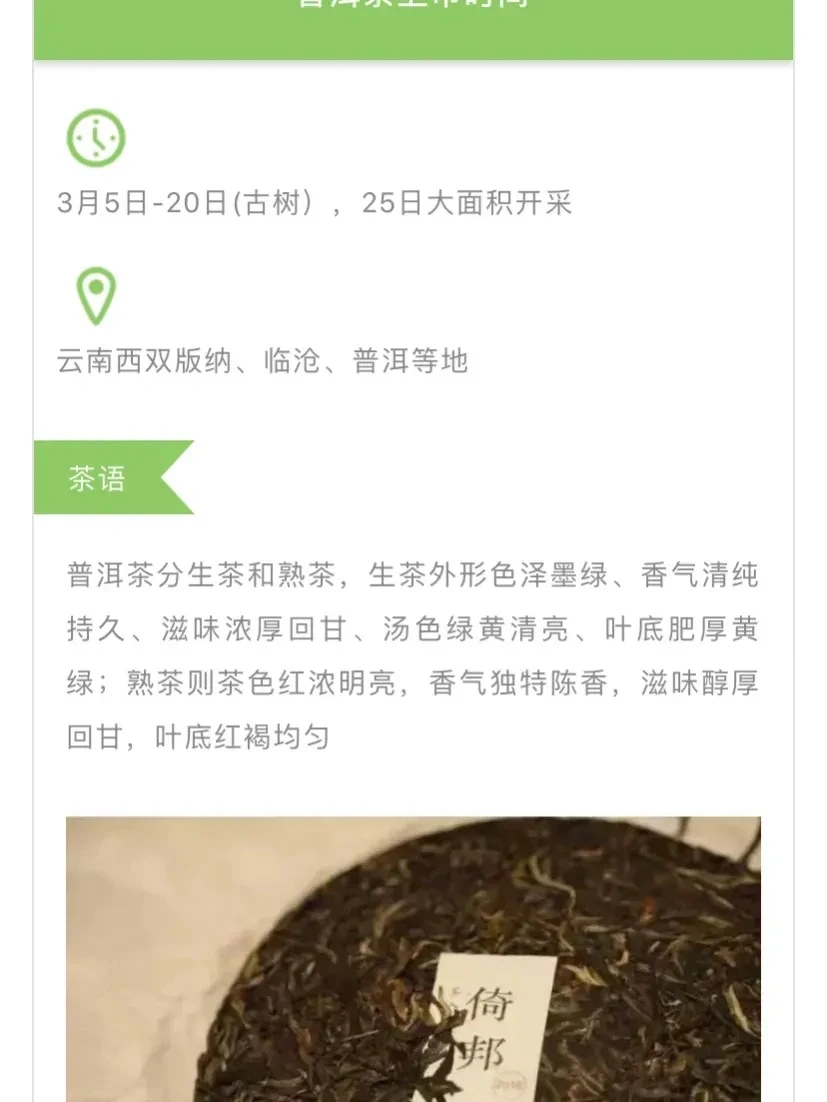 春茶上市时间汇总，新茶准备喝起来！