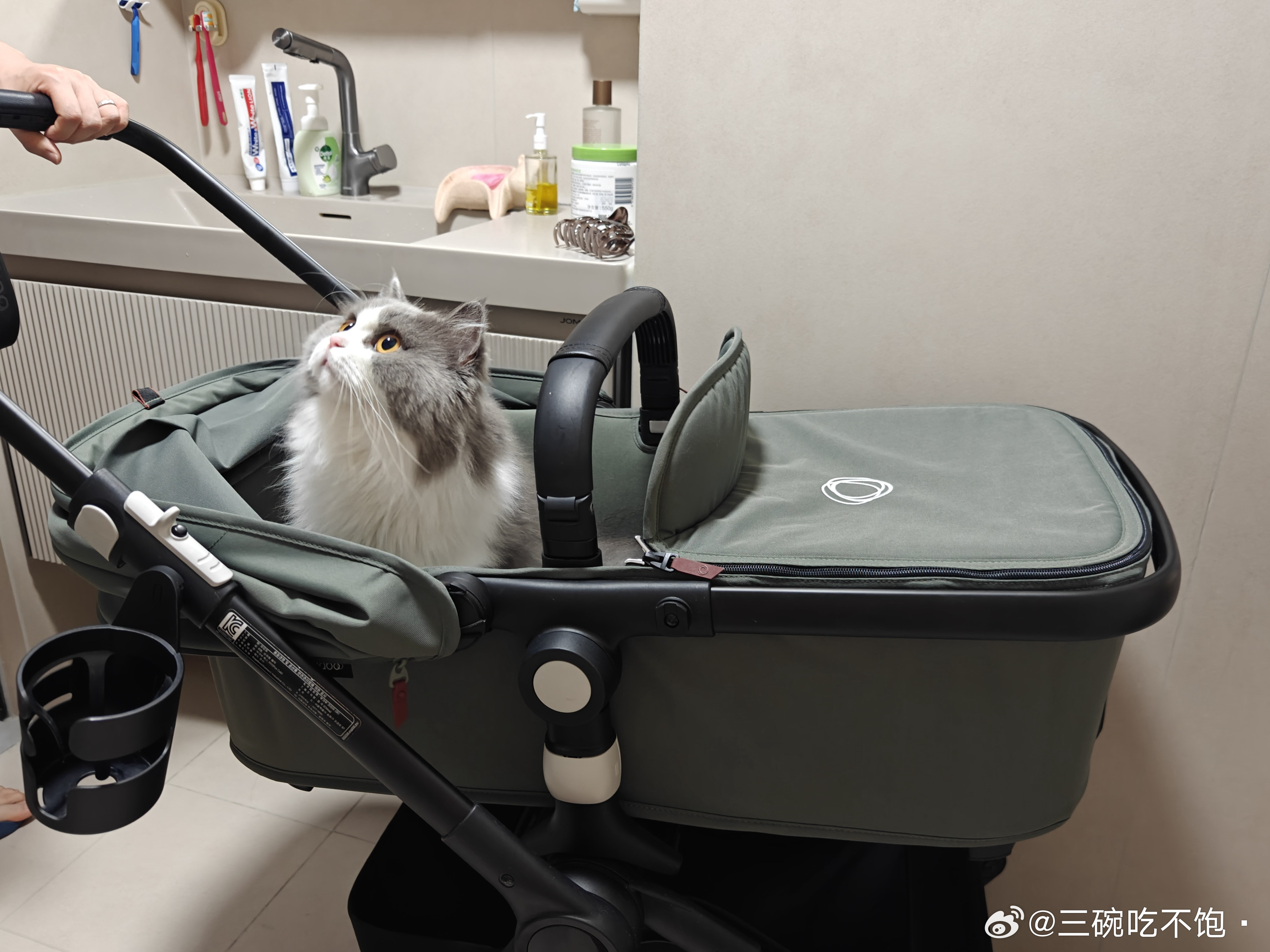 我在厕所拉💩，小段推着婴儿车就闯进来了：孩子找你？？？？？ ​​​