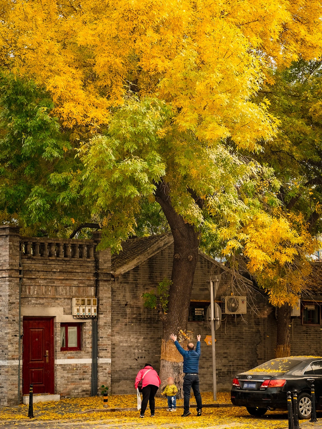 北平之秋杀伤力🍂没有一个城市比北京懂秋天