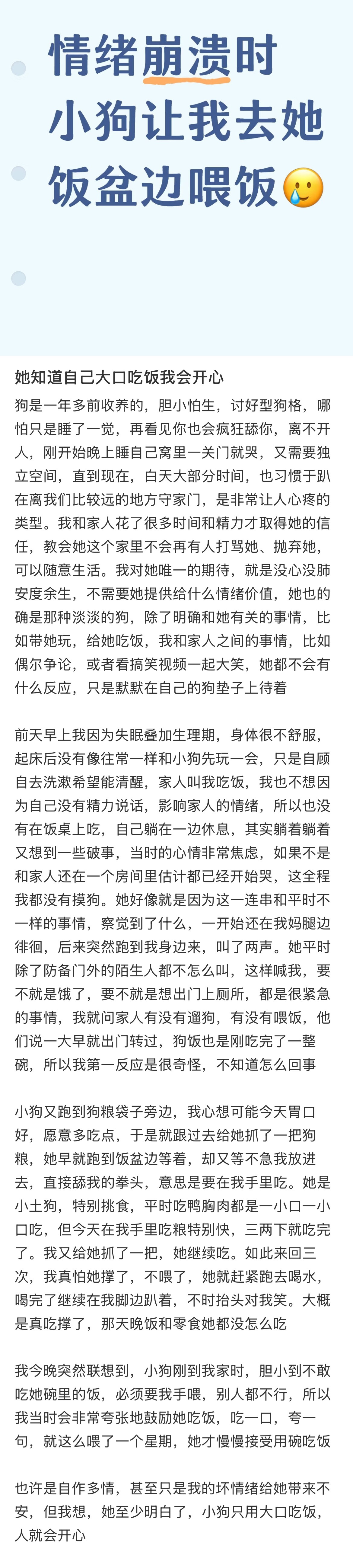 原来小狗真的会讨好人类 ​​​