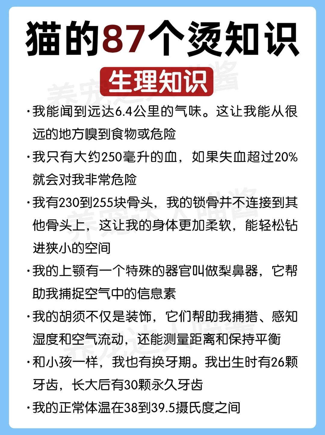 猫的87个烫知识