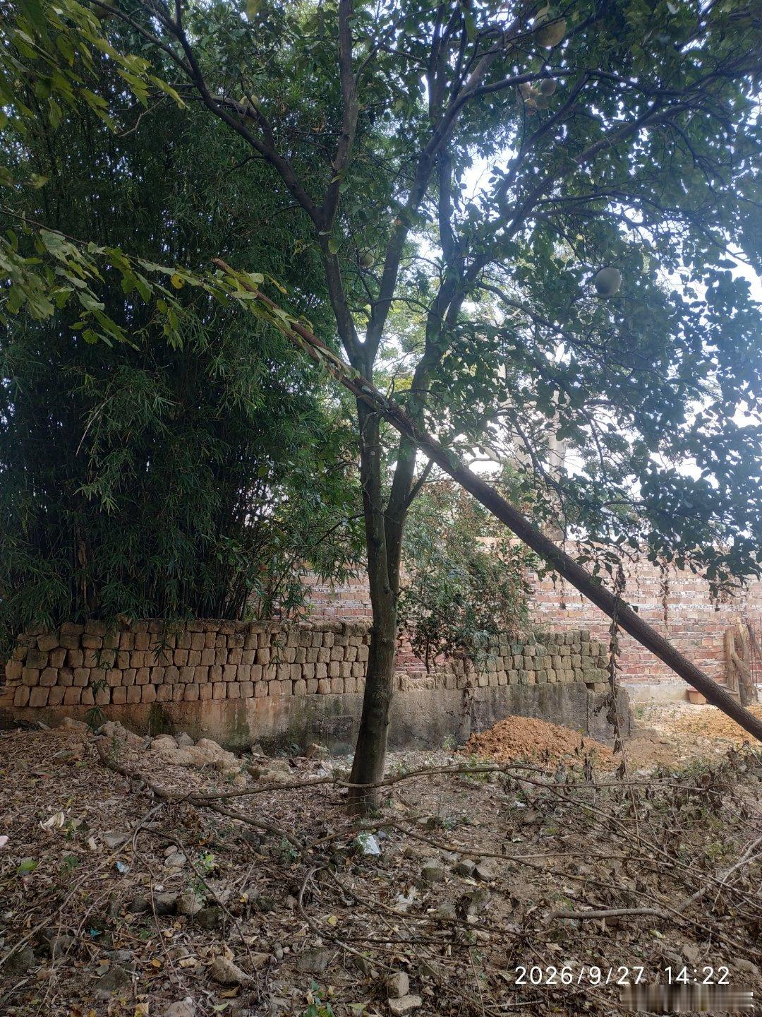 路基塘小组农户:侯叶生”近日因涉嫌无审批乱搭乱建围挡、圈占他人合法使用的约50平方米竹林地块，被举报人公开实名投诉，事件核心是违法占地与妨碍物权的认定及处置。 
一、事件事实：私自圈占约50平米私人栽的竹林
涉事主体：被举报人为路基塘小组农户侯叶生，举报人指其未办理任何用地审批、规划审批 ​