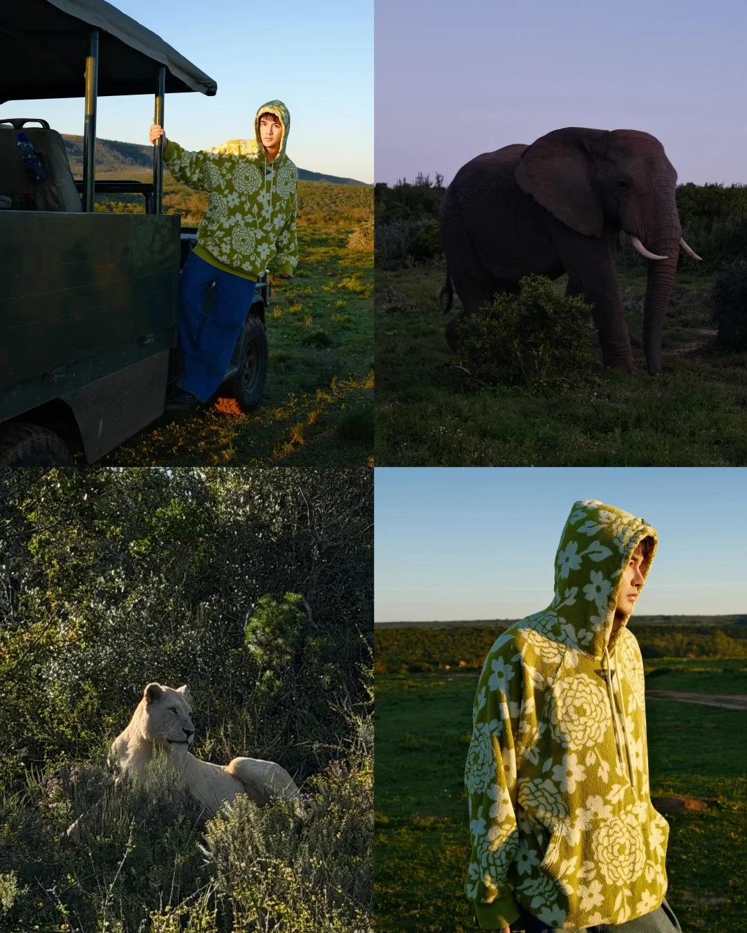 Wild at Heart