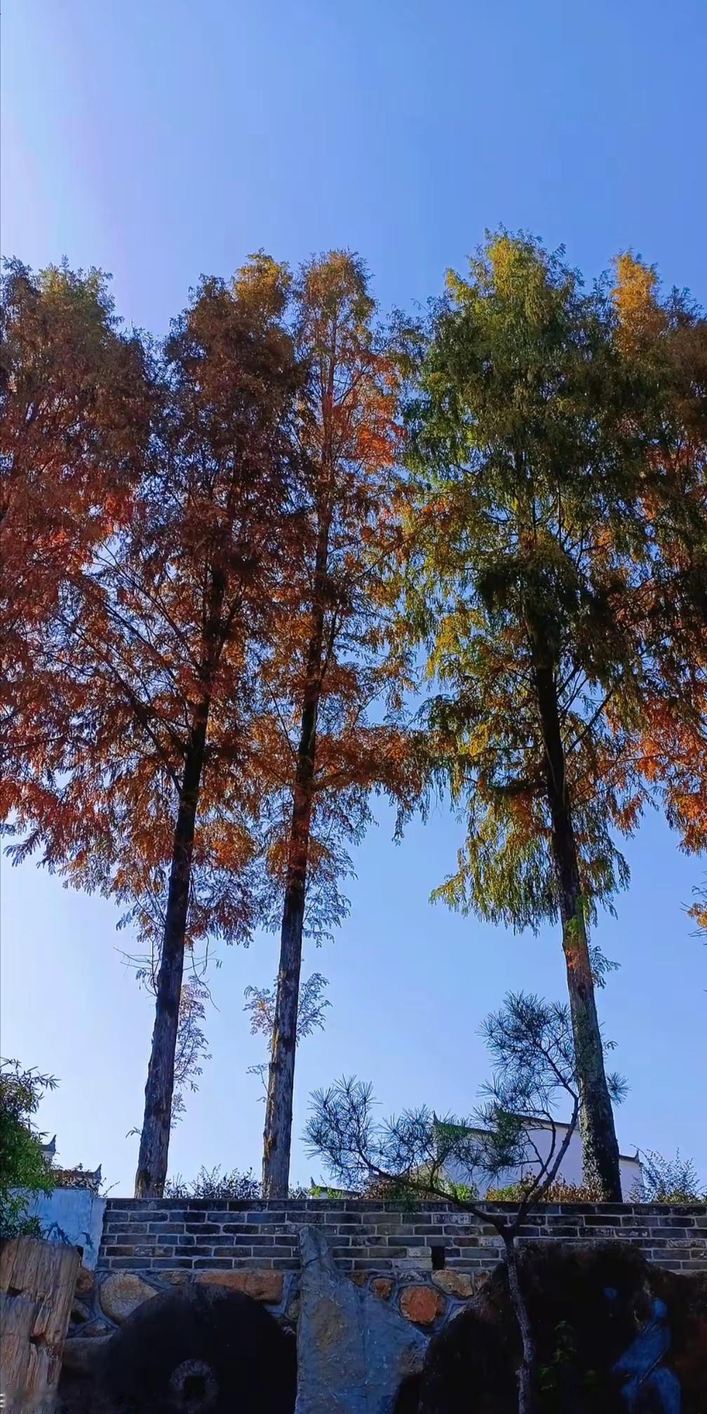 <p>情感共鸣 <!--{img:0}--></p><img src=...