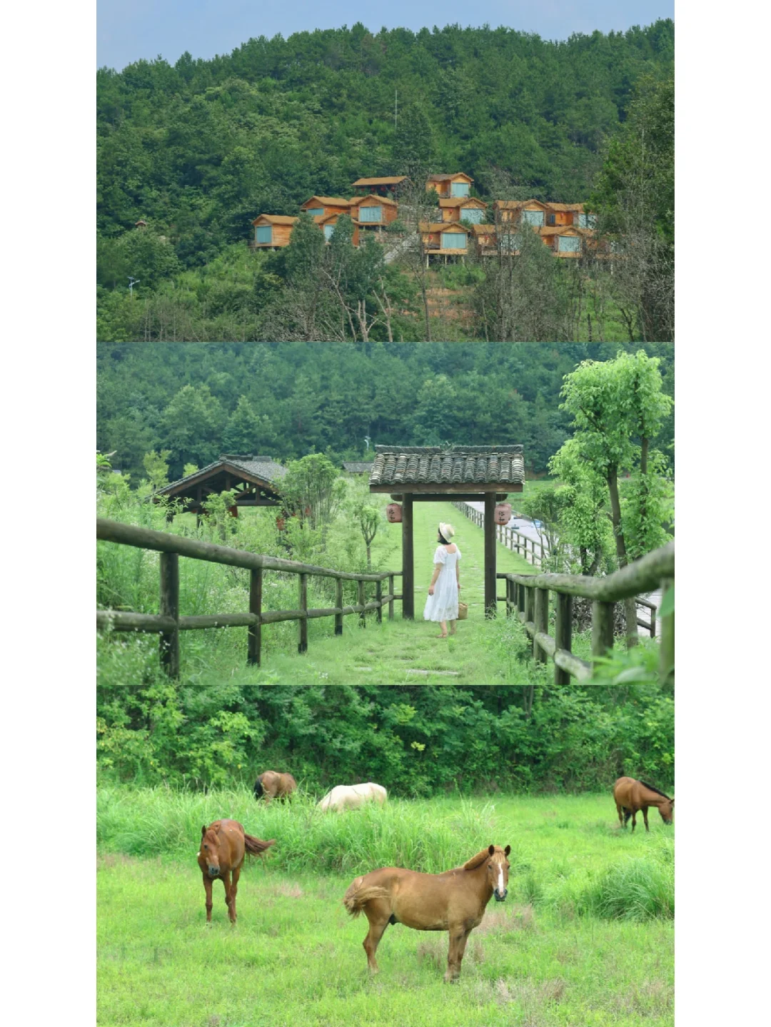 武汉周边游/2H即达宫崎骏森林秘境，超治愈