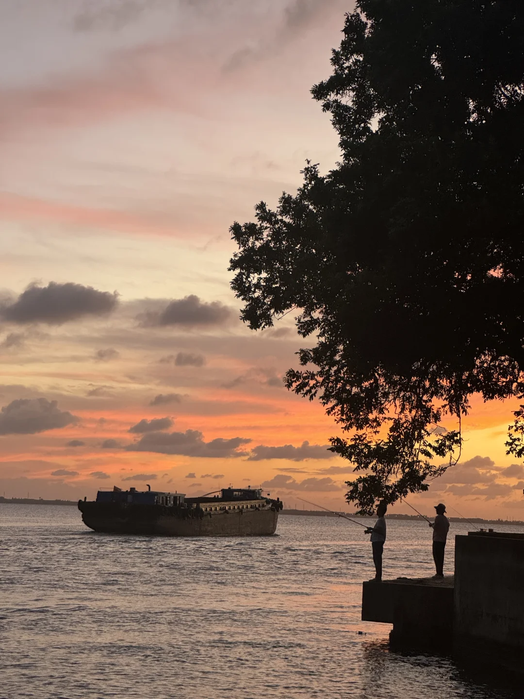 上海自驾1h不出沪拍到绝美橘子海啦🌇