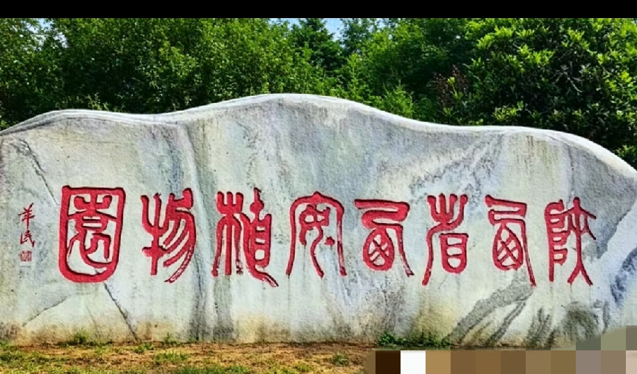 不是我吹！我敢说！95%的人看不懂这石头上的字，谁能全部看懂，绝对是非常有文化的