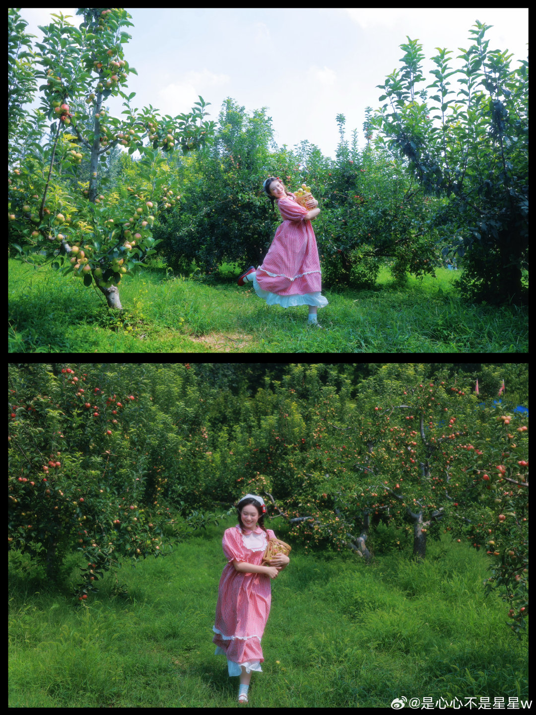 苹果的第一个故事🍎 ​