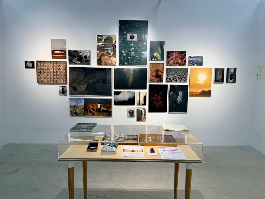 我策展的《本命年》落地成都国际影像艺术大展。艺术家廖莉文也凭借这个展览获得年度推荐摄影师奖项。
《本命年》源于艺术家一段漫长的皮肤过敏经历。她将这段身体经验与蛇蜕皮的意象联系起来，在真实的生活记录与个人想象之间，展开对身体、创伤与自我感知的探索。
这次展览，我和艺术家一起完成了作品的编辑与后期调整，也反复推敲了最终的布展方式。我们将带有触感的身体局部与冷静的日常场景交错编排，让私密的身体经验与外部现实彼此穿插，并通过不同尺度的画面与留白，形成张弛有度的观看节奏。
展览展出至23日，地点在成都当代影像馆临水创作空间。欢迎大家前往现场观看。