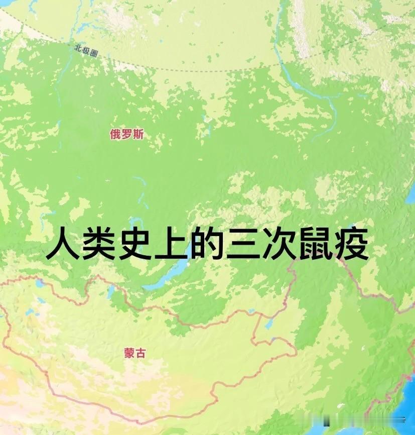 1910年东北肺鼠疫，不是从边境爬进来的，是坐着火车进来的。
病人沿着中东铁路，从满洲里一路带到哈尔滨、长春、沈阳。你封口岸，火车已经到站了。
这就很荒唐。有说法称，俄方把患病的华工送回了中国。人回来了，病也回来了。然后呢，铁路还在跑，车厢还在装人。你站在口岸拦，拦得住铁轨上跑的东西吗。
查士丁尼瘟