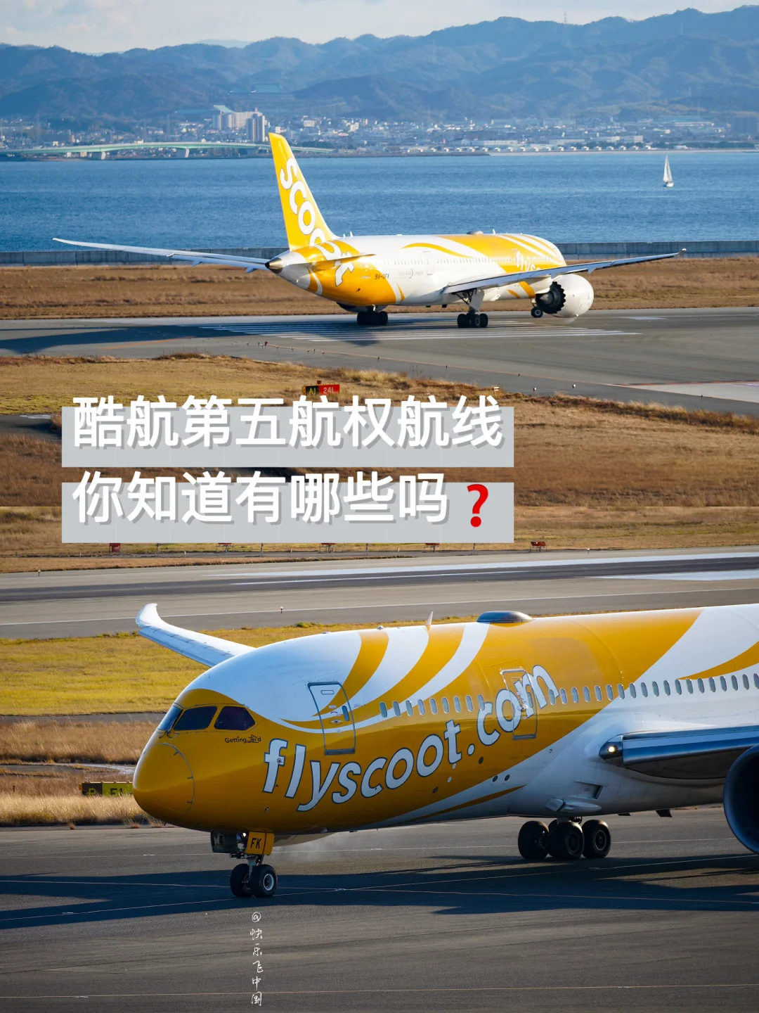 酷航第五航权航线，你知道有哪些吗❓