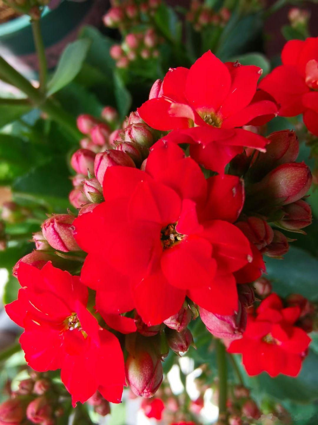 #上海申花# 别让更多的人心寒[伤心]
#上海[超话]##上海申花[超话]# ​