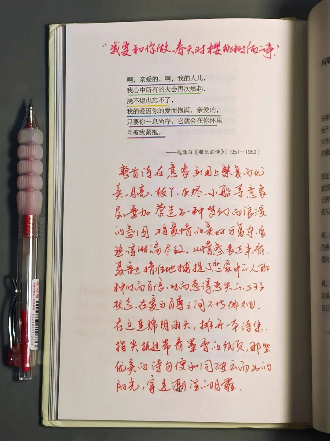 “在我贫瘠的土地上，你是最后的玫瑰。