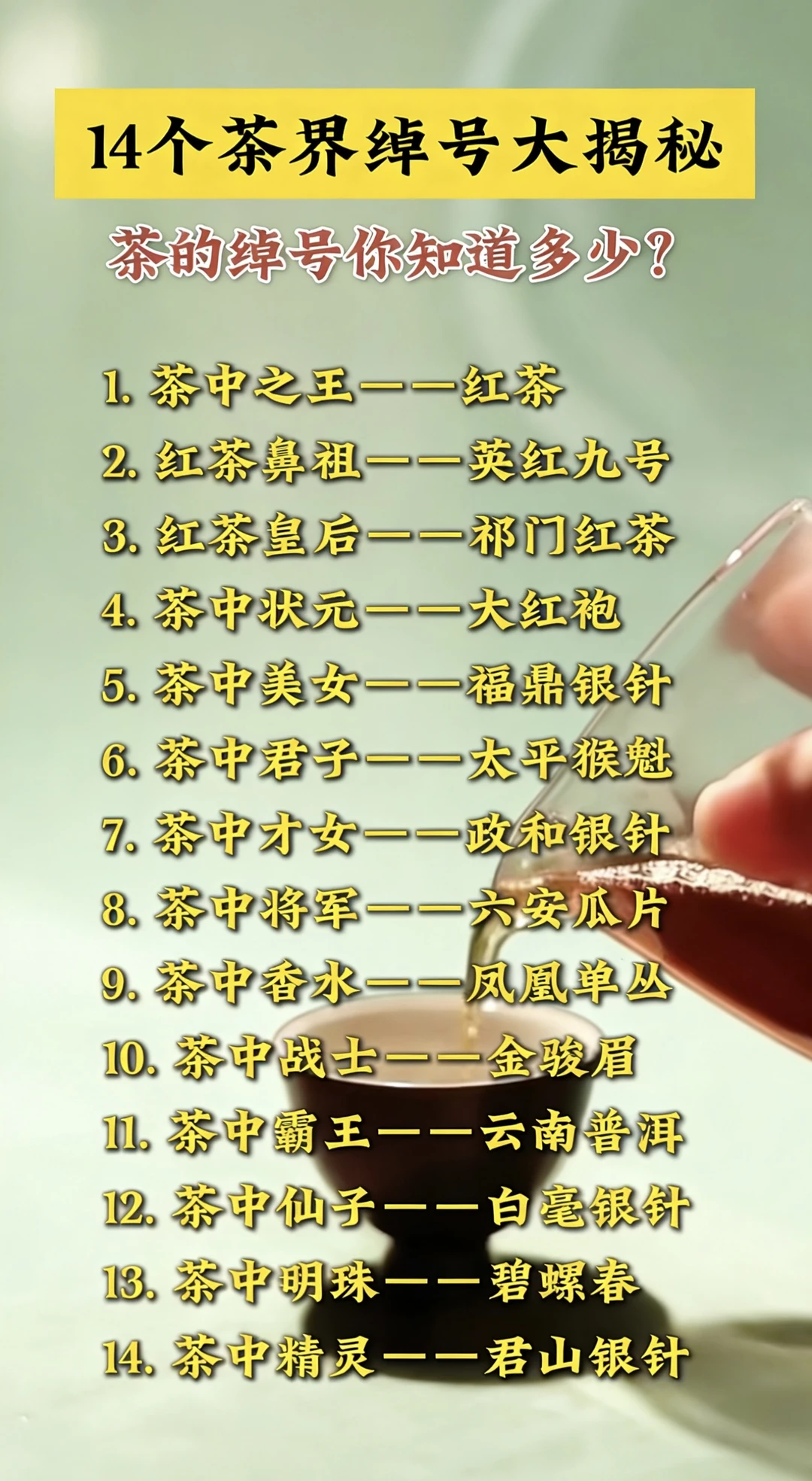 14个茶界“江湖绰号”大揭秘，看完秒变老茶客