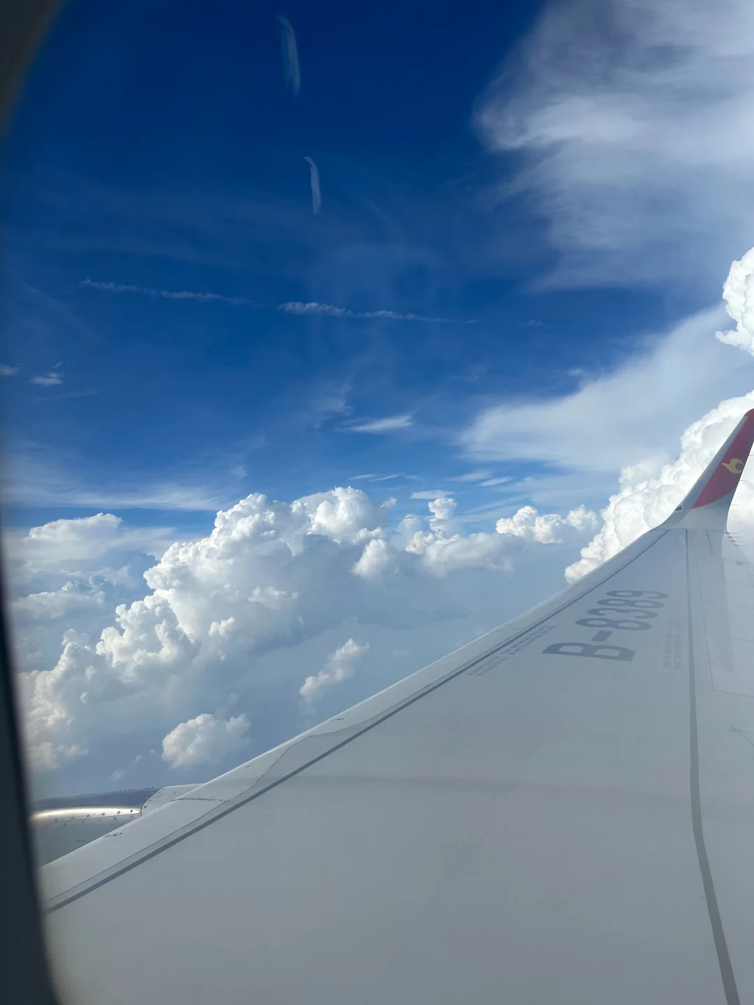 从飞机上看☁️