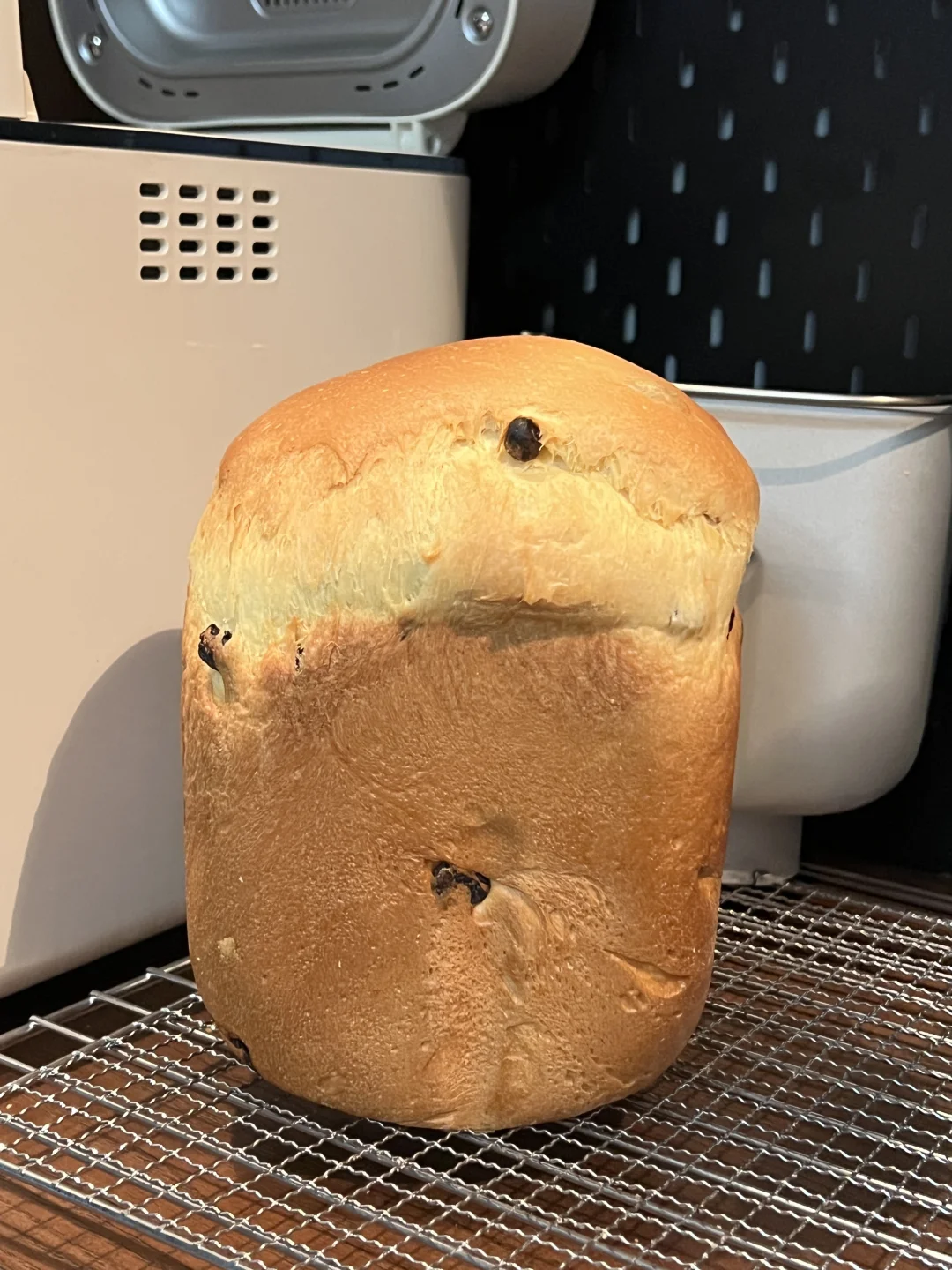 2小时一键爆头！🍇葡萄干淡奶油吐司🍞