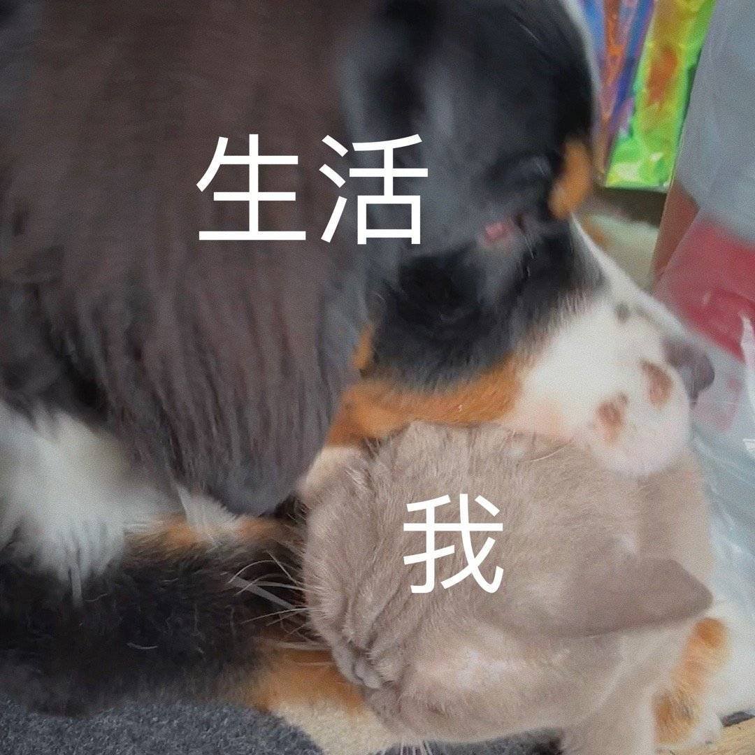 北京是不是克我 不知道怎么就支原体感染了 咳得我要yue了晚上还睡不着 这能对吗[疑问][苦涩][苦涩][苦涩]北京大医院的号咋这么难挂还这么贵 只能去社区医院看病[淡淡的]外地医保怎么报销比例这么低的，看病疯狂消耗个人账户里的钱[苦涩][苦涩][苦涩]
今天和甲方聊后续安排 怎么感觉国庆后还要来[苦涩] ​