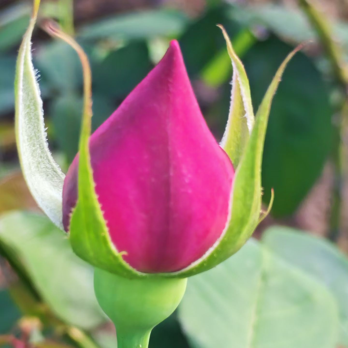 秋天广州花城汇