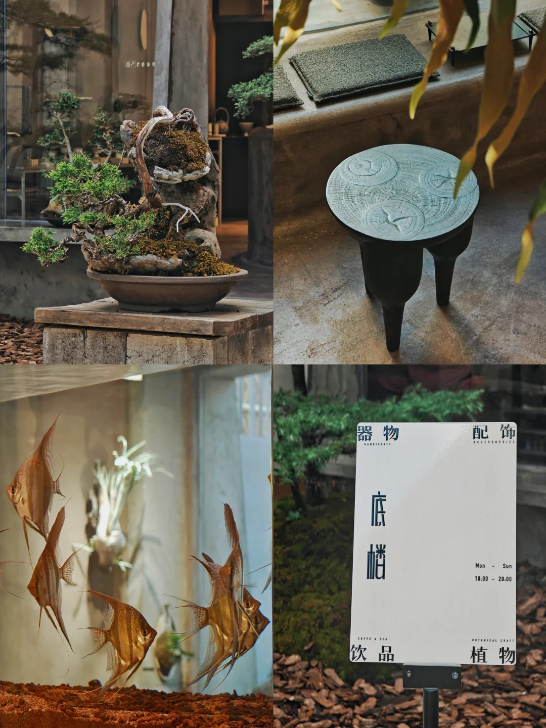 我宣布这是今年逛到的蕞酷店铺！