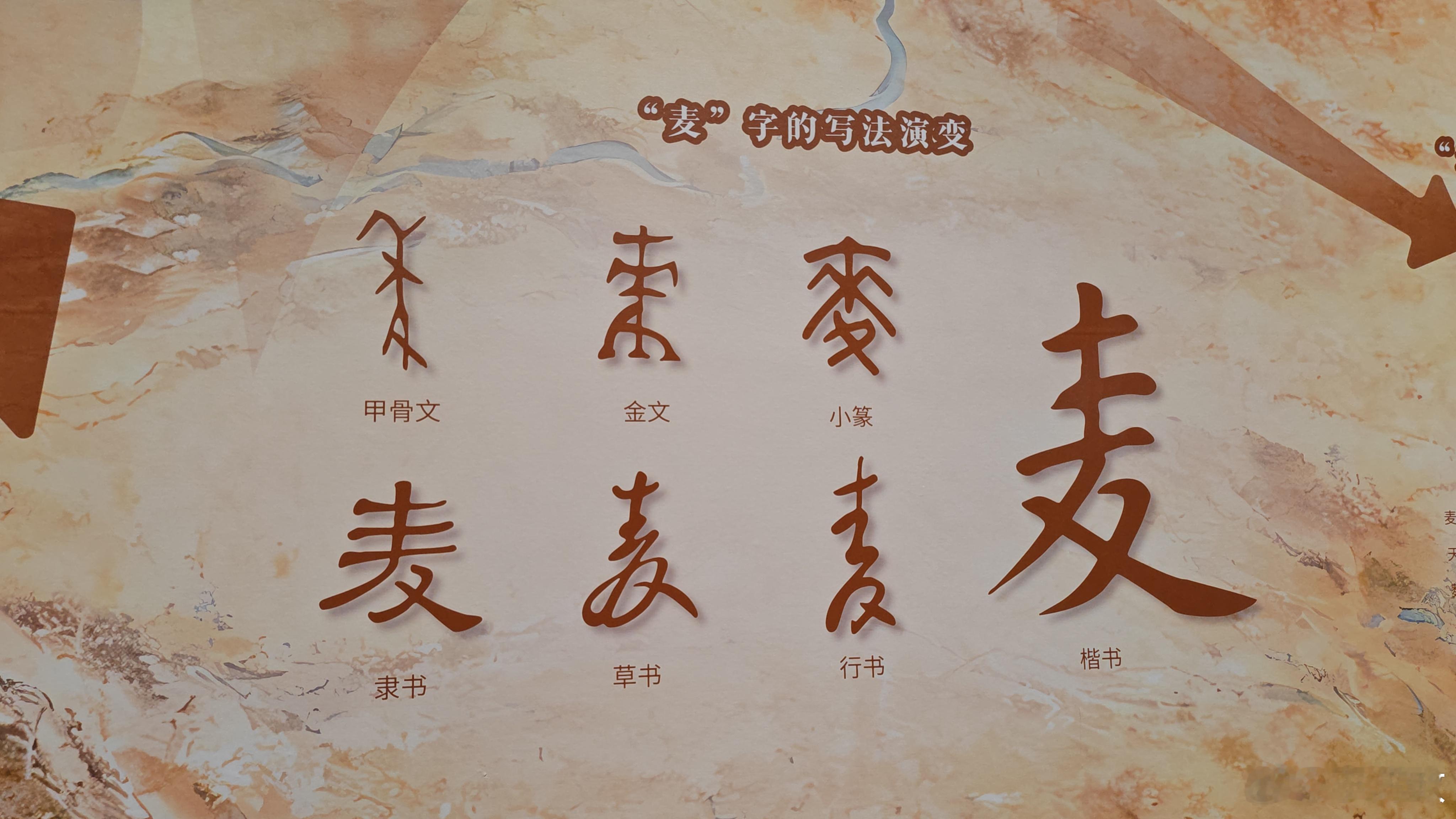 陕西考古博物馆，说青铜器失蜡法西来（没有明说，但潜台词就是这个）  陕...