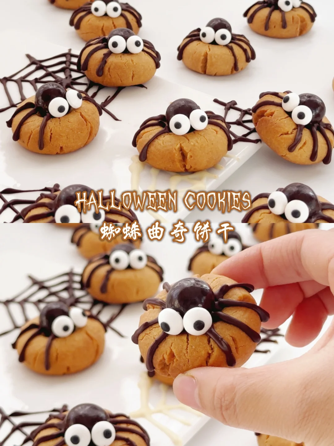 做这么可爱谁舍得吃啊！万圣节·蜘蛛曲奇饼干