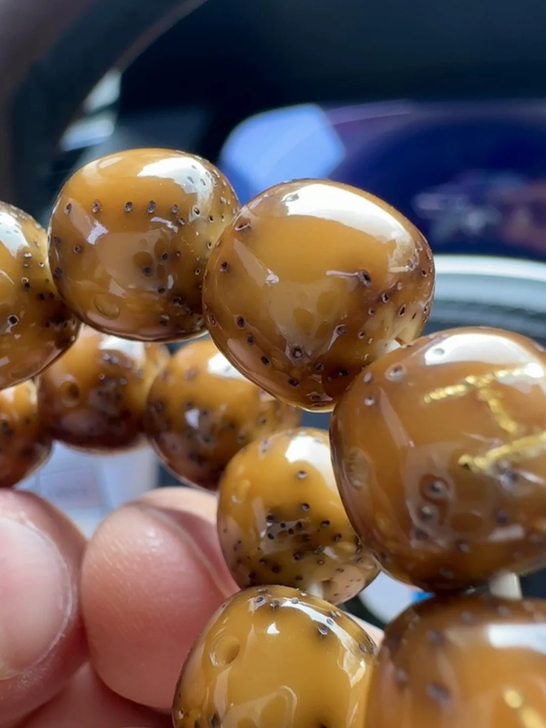 这条星月美到我“词穷”5年的惊艳蜕变