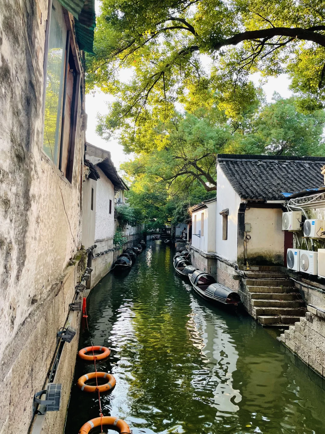 迄今为止，我最喜欢的旅游城市出现了🍃···