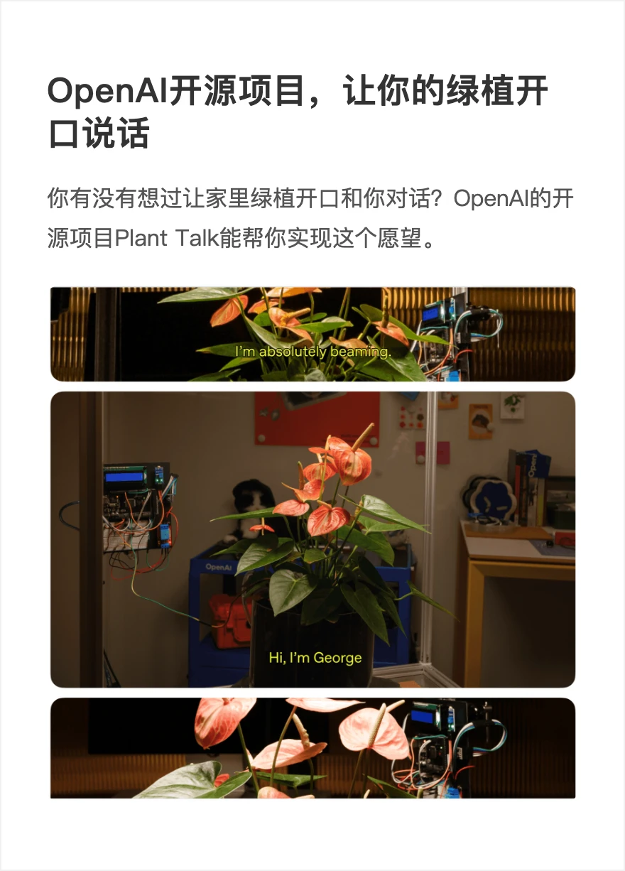 OpenAI开源项目，让你的绿植开口说话