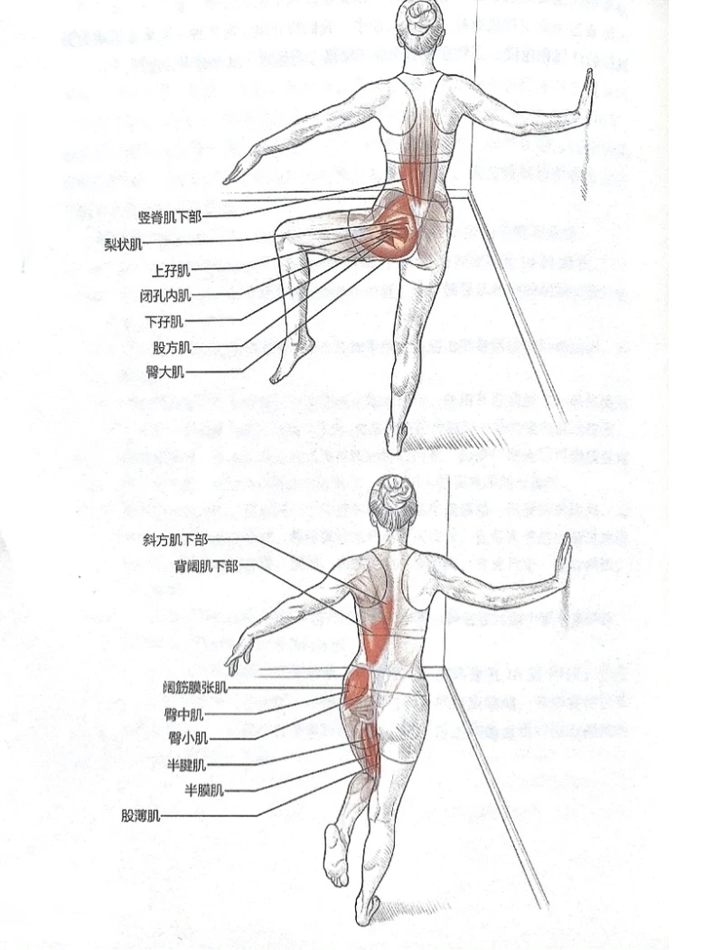 动态拉伸🔥髋部灵活、热身