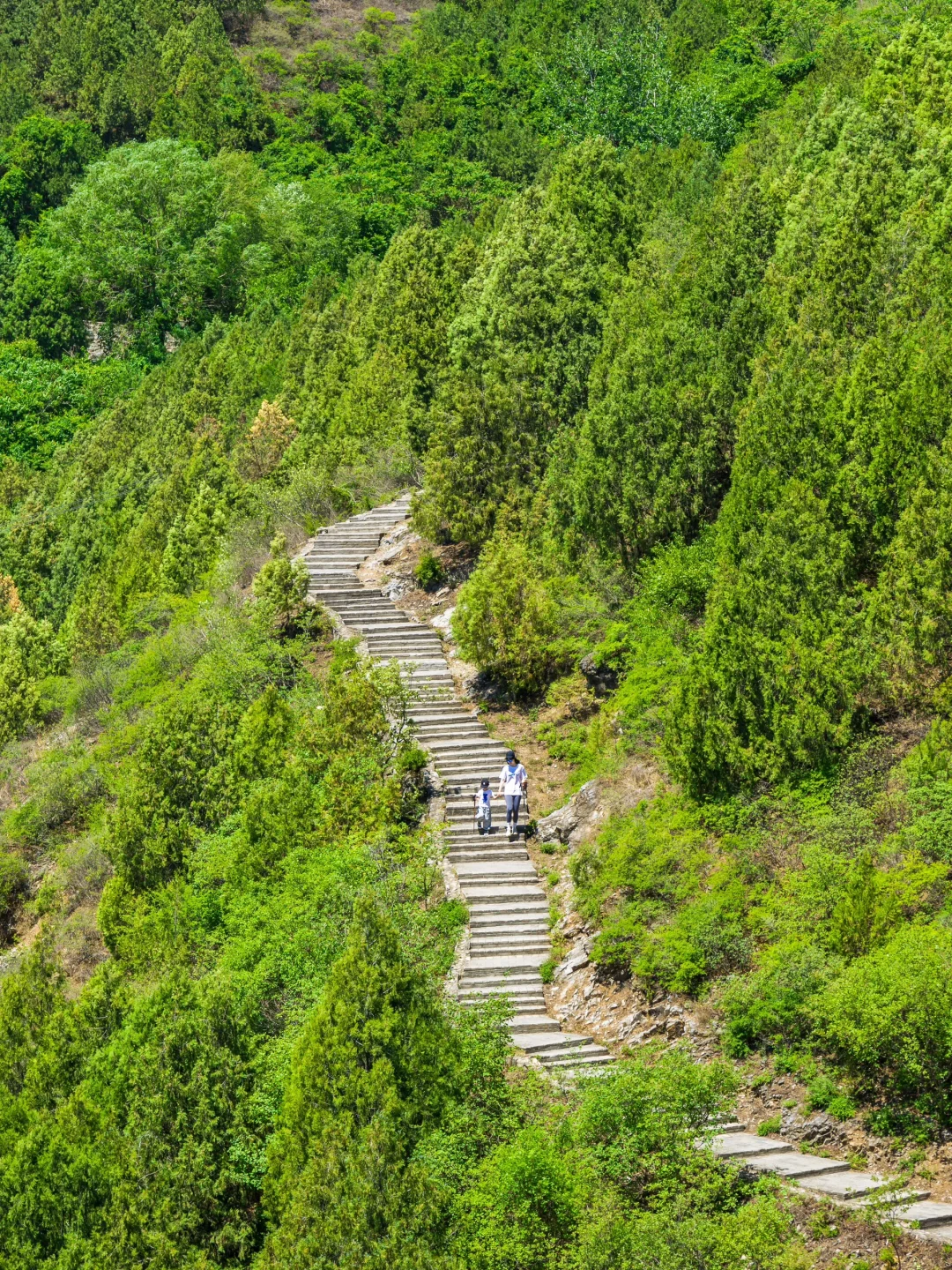 京郊1h徒步森林大氧吧‼️打山泉⛰️尝免费斋饭