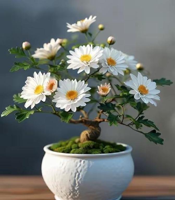 村里一对老夫妻，男的刚过七十，女的六十八，日子过得有滋有味。男的年轻时...